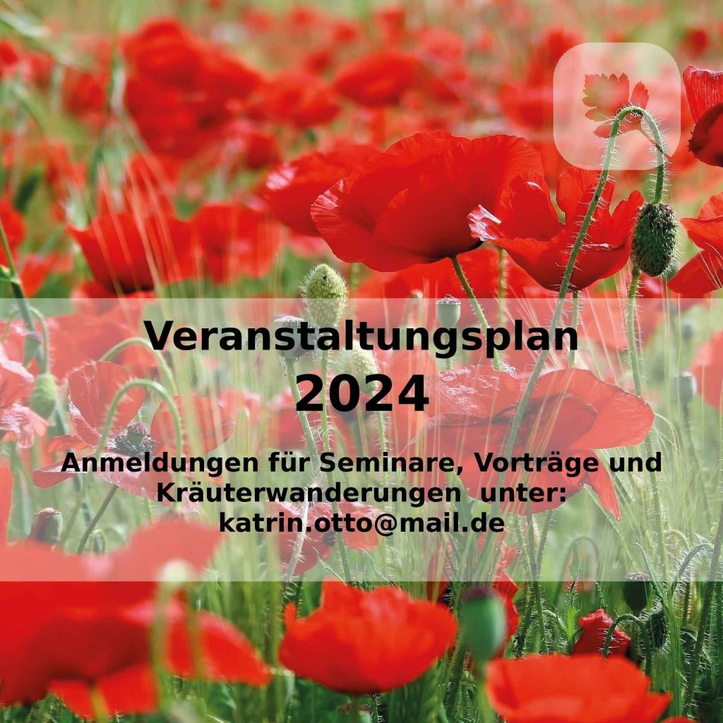 Heilpraxis am Domplatz (Katrin Otto) - Praxis, Seminare, Schulungen - Veranstaltungsplan 2024